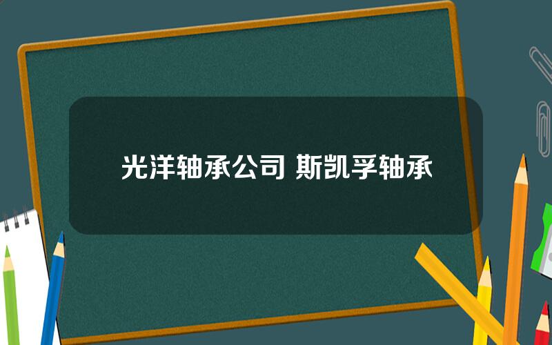 光洋轴承公司 斯凯孚轴承